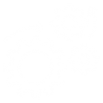 MicrosoftTeams-image (45)
